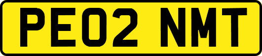 PE02NMT