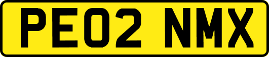 PE02NMX