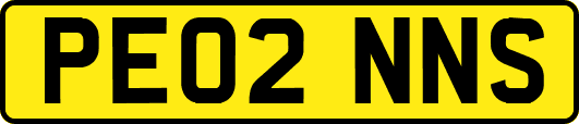 PE02NNS