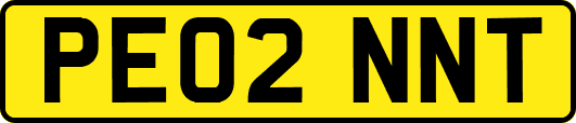 PE02NNT
