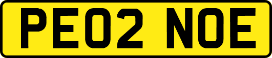 PE02NOE