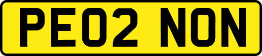 PE02NON