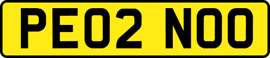 PE02NOO