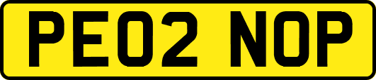 PE02NOP