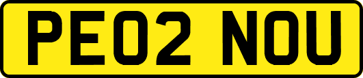 PE02NOU