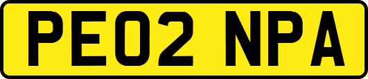PE02NPA