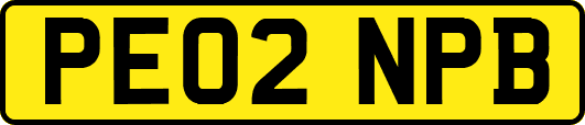 PE02NPB