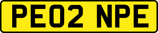PE02NPE