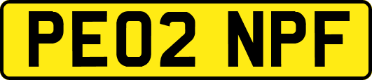 PE02NPF
