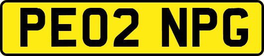 PE02NPG