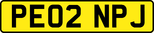 PE02NPJ