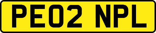 PE02NPL