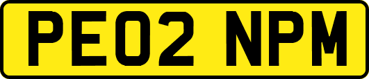 PE02NPM