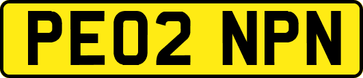 PE02NPN
