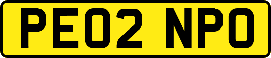 PE02NPO