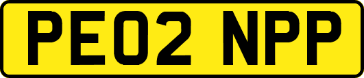 PE02NPP