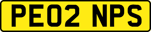 PE02NPS