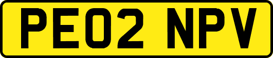 PE02NPV