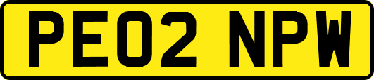 PE02NPW
