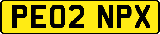 PE02NPX