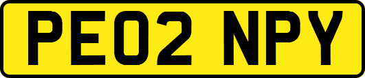 PE02NPY