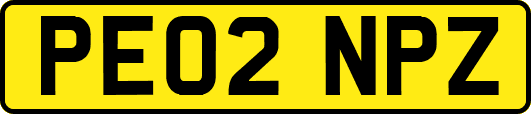 PE02NPZ