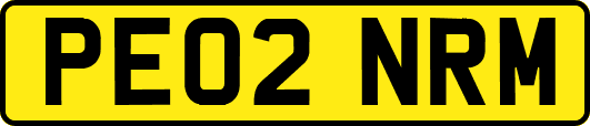 PE02NRM