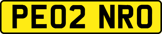 PE02NRO