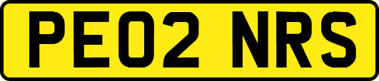 PE02NRS