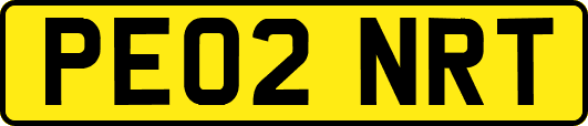 PE02NRT