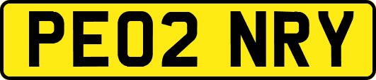 PE02NRY