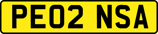 PE02NSA