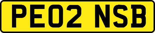 PE02NSB