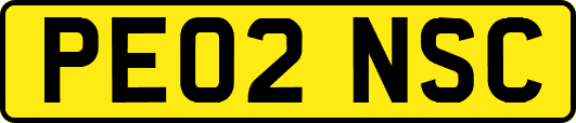 PE02NSC