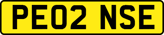 PE02NSE