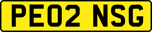 PE02NSG