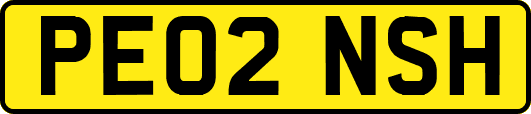 PE02NSH