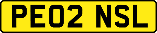 PE02NSL