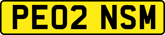 PE02NSM