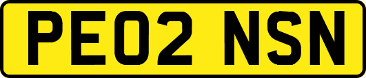 PE02NSN