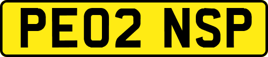 PE02NSP