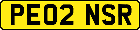 PE02NSR