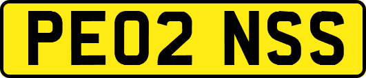 PE02NSS