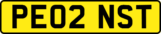 PE02NST