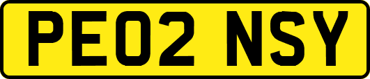 PE02NSY
