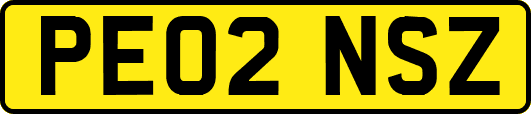 PE02NSZ