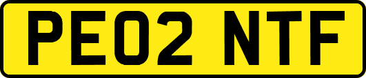 PE02NTF