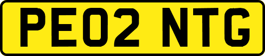 PE02NTG