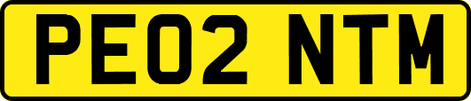 PE02NTM