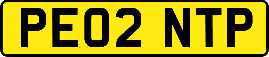 PE02NTP